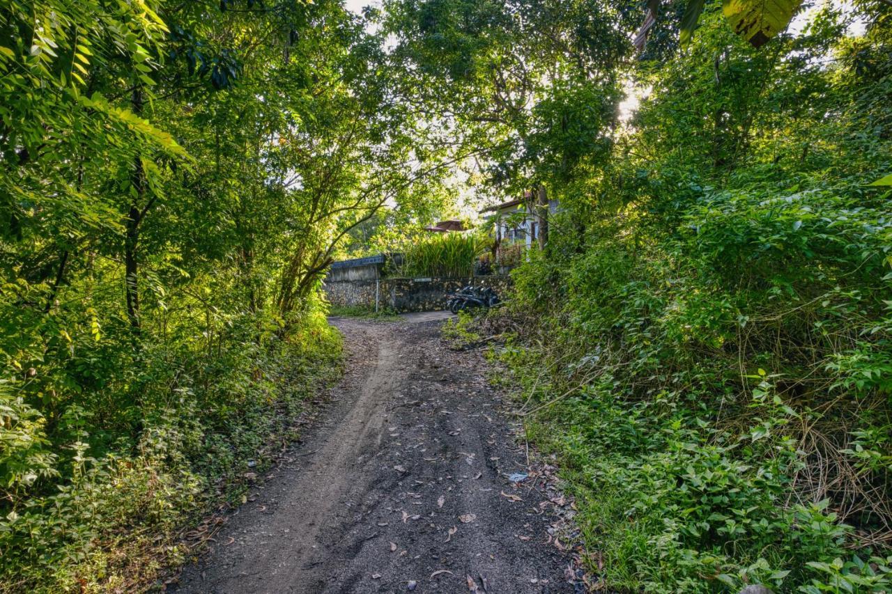 Le Green Village Toyapakeh Zewnętrze zdjęcie